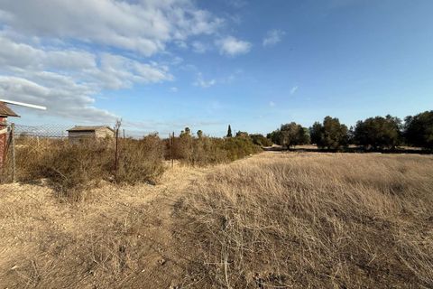 Finca i Elche, Alicante, Elche - € 159.950 | Ref: RS44 - foto 28