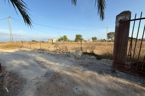 Finca i Elche, Alicante, Elche - € 159.950 | Ref: RS44 - foto 29