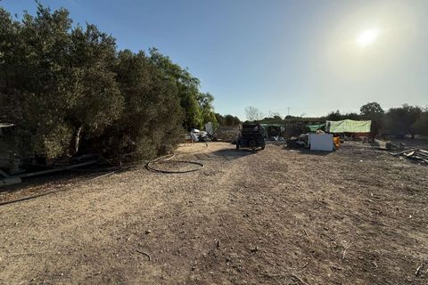 Finca i Elche, Alicante, Elche - € 159.950 | Ref: RS44 - foto 32