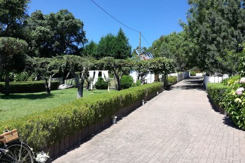 Landejendom i Ourem, Santarem, Ourem - € 795.000 | Ref: RECH-3464/12758 - foto 16