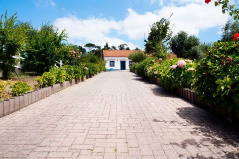 Landejendom i Ourem, Santarem, Ourem - € 795.000 | Ref: RECH-3464/12758 - foto 30