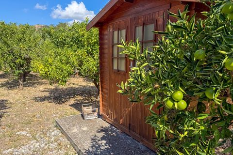 Villa i Scillato, Palermo, Scillato - € 160.000 | Ref: Casa Rosa Maria - Scillato - foto 27