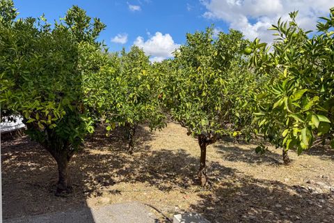 Villa i Scillato, Palermo, Scillato - € 160.000 | Ref: Casa Rosa Maria - Scillato - foto 32