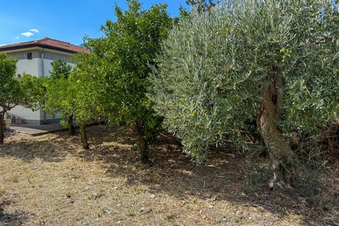 Villa i Scillato, Palermo, Scillato - € 160.000 | Ref: Casa Rosa Maria - Scillato - foto 37