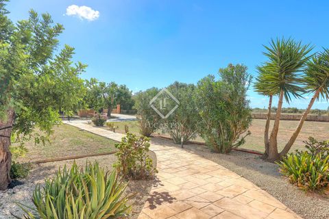 Landejendom i Campos, Mallorca, Campos - € 1.250.000 | Ref: MAL62905 - foto 20