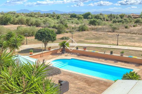 Landejendom i Campos, Mallorca, Campos - € 1.250.000 | Ref: MAL62905 - foto 26