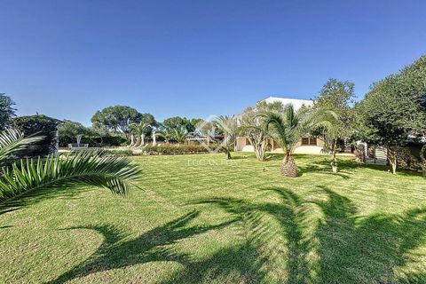 Landejendom i Sant Lluis, Menorca, Sant Lluis - € 3.300.000 | Ref: MEN54339 - foto 10