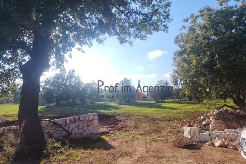 Helårsgrund i Ostuni, Brindisi, Ostuni - € 55.000 | Ref: 172975 - foto 9