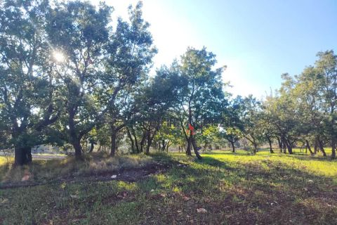 Helårsgrund i Ostuni, Brindisi, Ostuni - € 55.000 | Ref: 172975 - foto 3