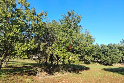 Helårsgrund i Ostuni, Brindisi, Ostuni - € 55.000 | Ref: 172975 - foto 6