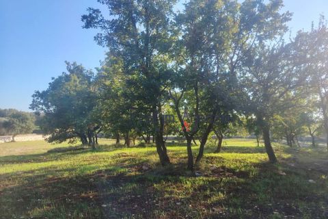 Helårsgrund i Ostuni, Brindisi, Ostuni - € 55.000 | Ref: 172975 - foto 10