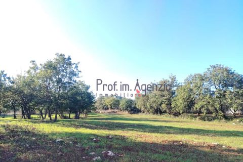 Helårsgrund i Ostuni, Brindisi, Ostuni - € 55.000 | Ref: 172975 - foto 7