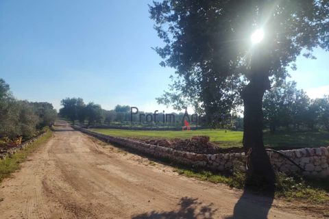 Helårsgrund i Ostuni, Brindisi, Ostuni - € 55.000 | Ref: 172975 - foto 8