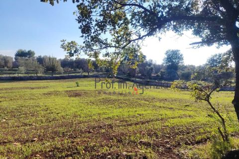 Helårsgrund i Ostuni, Brindisi, Ostuni - € 55.000 | Ref: 172975 - foto 5