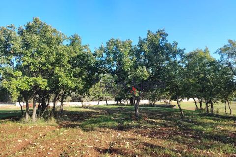 Helårsgrund i Ostuni, Brindisi, Ostuni - € 55.000 | Ref: 172975 - foto 2