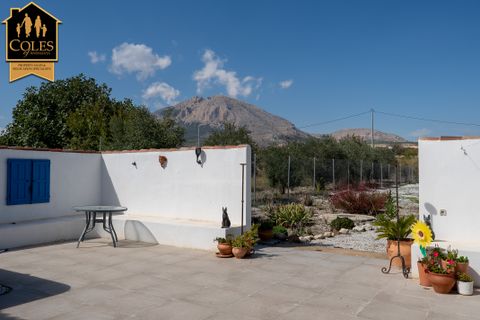 Cortijo i Velez-Rubio, Almeria, Velez-Rubio - € 219 995 | Ref: RUB4C07 - foto 33
