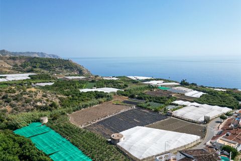Byhus i Maro, Malaga, Maro - € 249.000 | Ref: 10781-JV4532 - foto 31