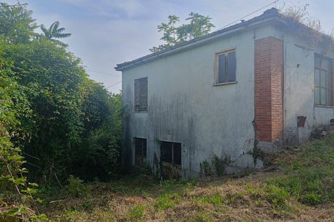Villa a Strangolagalli, Frosinone, Strangolagalli - € 20.000 | Ref: 2112 - foto 4
