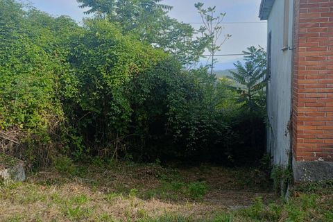 Villa a Strangolagalli, Frosinone, Strangolagalli - € 20.000 | Ref: 2112 - foto 5