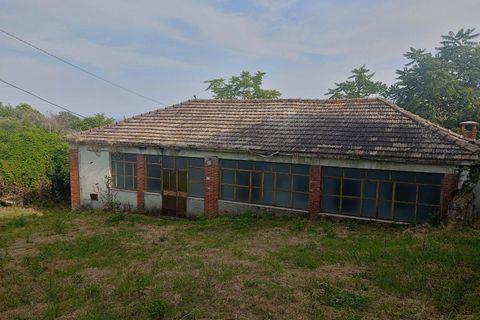 Villa a Strangolagalli, Frosinone, Strangolagalli - € 20.000 | Ref: 2112 - foto 6