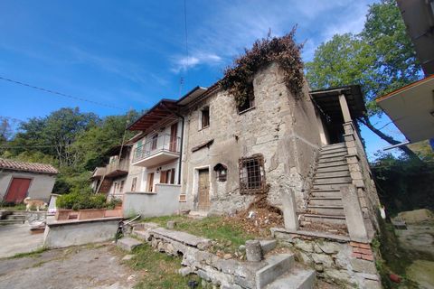 Villa a Ceccano, Frosinone, Ceccano - € 6.900 | Ref: 2116 - foto 2