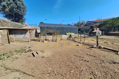 Helårsgrund i Ribeirao, Braga, Ribeirao - € 215.000 | Ref: RL-215-480 - foto 13
