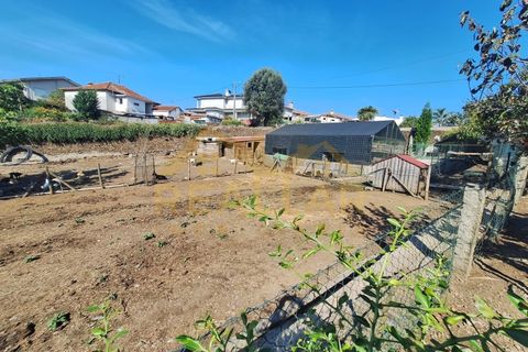Helårsgrund i Ribeirao, Braga, Ribeirao - € 215.000 | Ref: RL-215-480 - foto 19