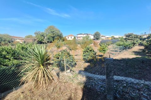 Helårsgrund i Ribeirao, Braga, Ribeirao - € 215.000 | Ref: RL-215-480 - foto 24