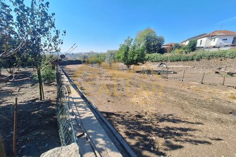 Helårsgrund i Ribeirao, Braga, Ribeirao - € 215.000 | Ref: RL-215-480 - foto 25