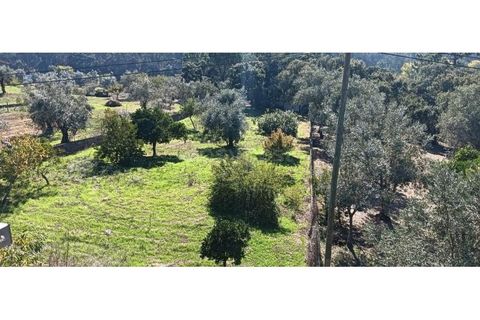 Villa i Pombal, Leiria, Pombal - € 300.000 | Ref: LE98072LE - foto 31
