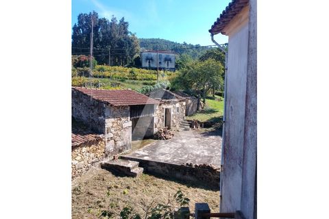 Landejendom i Barcelos, Braga, Barcelos - € 220.000 | Ref: 1350230/25VC - foto 4