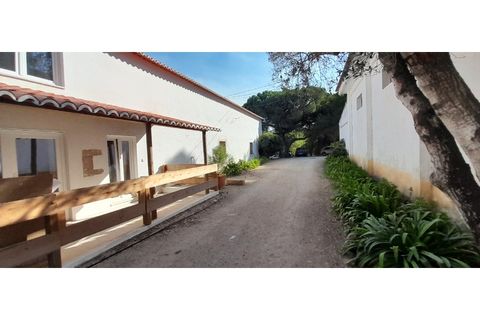 Villa a Odivelas, Lisbon, Odivelas - € 1.500/mes | Ref: AM3120 - foto 4