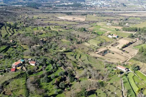 Farm hus i Boidobra, Castelo Branco, Boidobra - € 80.000 | Ref: C0473-00252 - foto 14