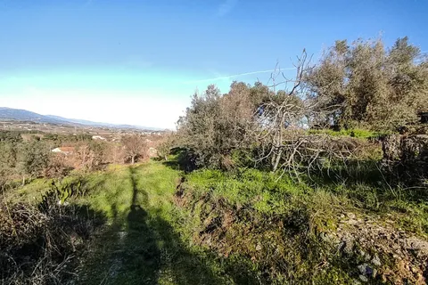 Farm hus i Boidobra, Castelo Branco, Boidobra - € 80.000 | Ref: C0473-00252 - foto 17
