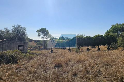 Helårsgrund i Avola, Siracusa, Avola - € 38.000 | Ref: AV TER 12 - foto 4