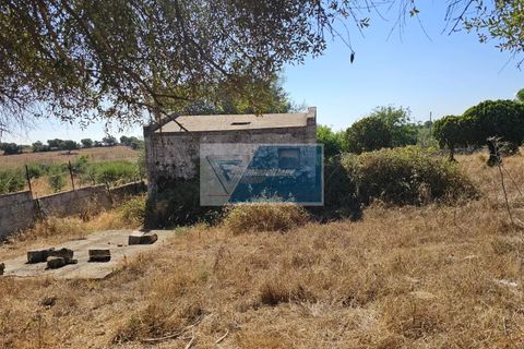 Helårsgrund i Avola, Siracusa, Avola - € 38.000 | Ref: AV TER 12 - foto 5