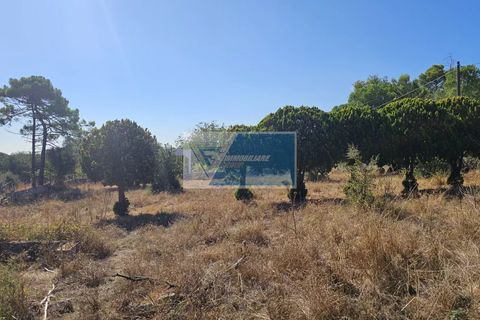 Helårsgrund i Avola, Siracusa, Avola - € 38.000 | Ref: AV TER 12 - foto 8
