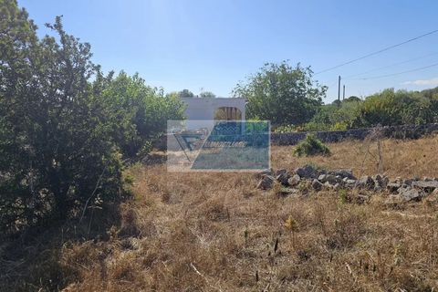 Helårsgrund i Avola, Siracusa, Avola - € 38.000 | Ref: AV TER 12 - foto 9