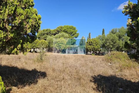 Helårsgrund i Avola, Siracusa, Avola - € 38.000 | Ref: AV TER 12 - foto 10