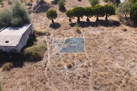 Helårsgrund i Avola, Siracusa, Avola - € 38.000 | Ref: AV TER 12 - foto 11