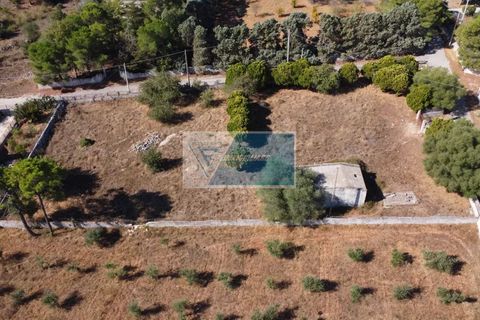 Helårsgrund i Avola, Siracusa, Avola - € 38.000 | Ref: AV TER 12 - foto 12