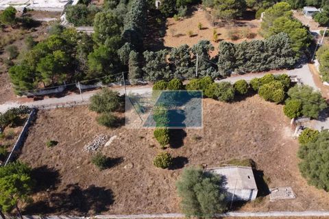 Helårsgrund i Avola, Siracusa, Avola - € 38.000 | Ref: AV TER 12 - foto 13