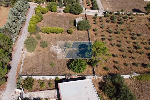 Helårsgrund i Avola, Siracusa, Avola - € 38.000 | Ref: AV TER 12 - foto 14