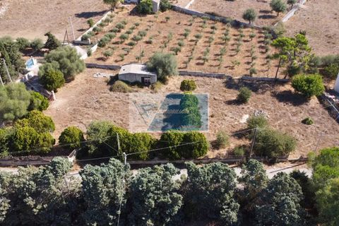 Helårsgrund i Avola, Siracusa, Avola - € 38.000 | Ref: AV TER 12 - foto 15