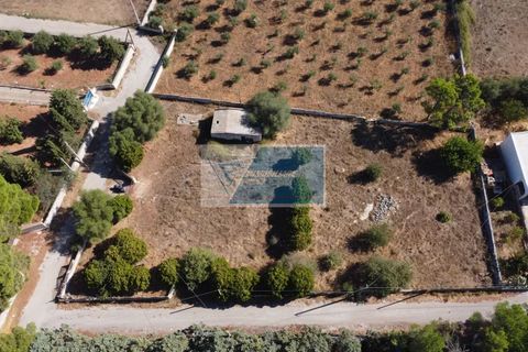 Helårsgrund i Avola, Siracusa, Avola - € 38.000 | Ref: AV TER 12 - foto 16