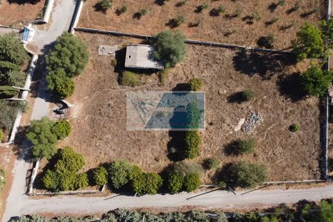 Helårsgrund i Avola, Siracusa, Avola - € 38.000 | Ref: AV TER 12 - foto 17