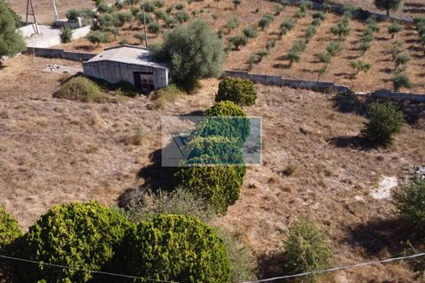 Helårsgrund i Avola, Siracusa, Avola - € 38.000 | Ref: AV TER 12 - foto 23