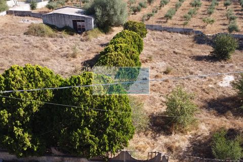 Helårsgrund i Avola, Siracusa, Avola - € 38.000 | Ref: AV TER 12 - foto 24