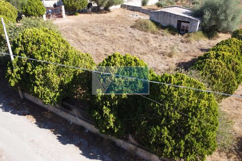 Helårsgrund i Avola, Siracusa, Avola - € 38.000 | Ref: AV TER 12 - foto 25