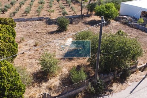 Helårsgrund i Avola, Siracusa, Avola - € 38.000 | Ref: AV TER 12 - foto 26